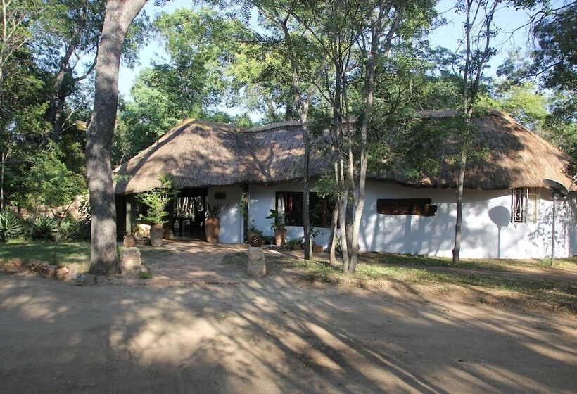 هتل Miombo Safari Camp