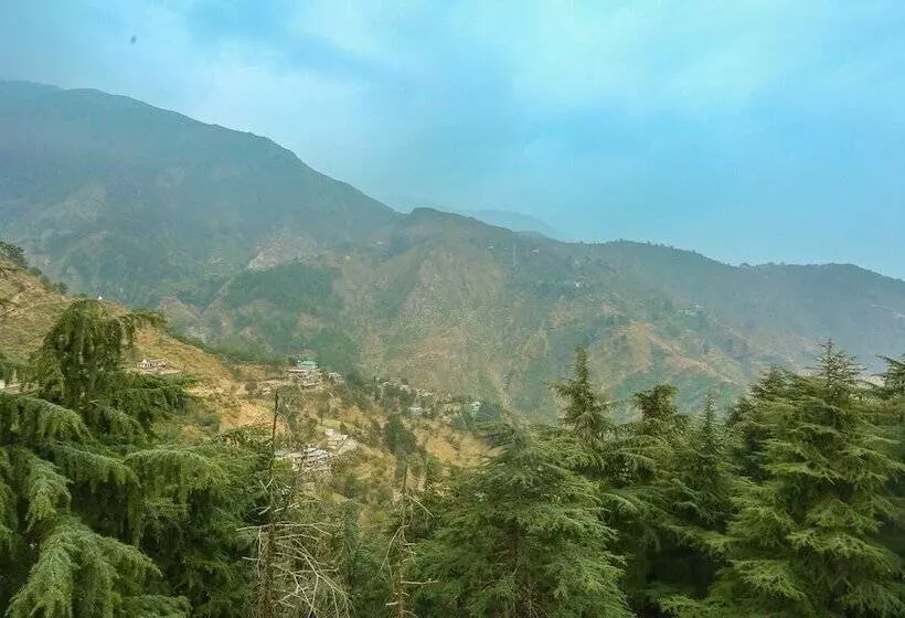 Hotelli Moon Walk Residency, Dharamshala