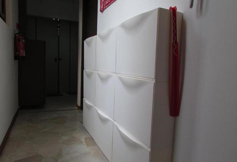 هاستل The Bohemian