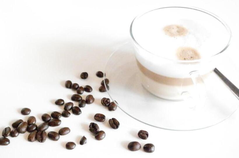 هاستل The Bohemian