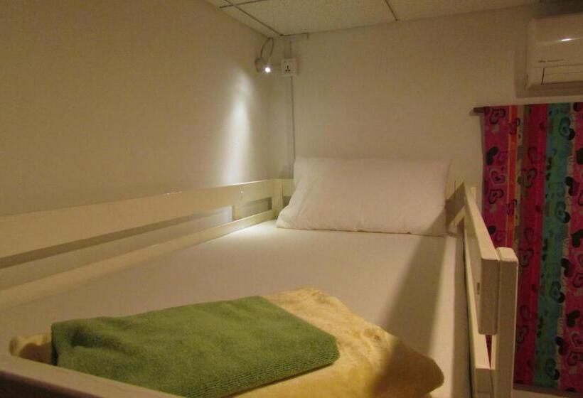 هاستل The Bohemian