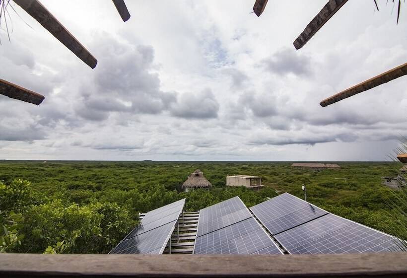 Bambu Gran Palas Hostel Party