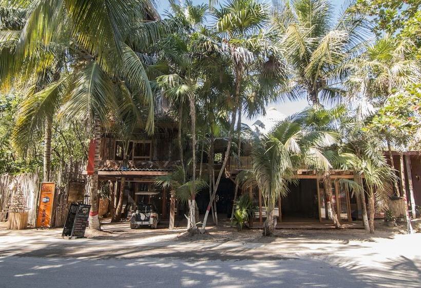 Bambu Gran Palas Hostel Party