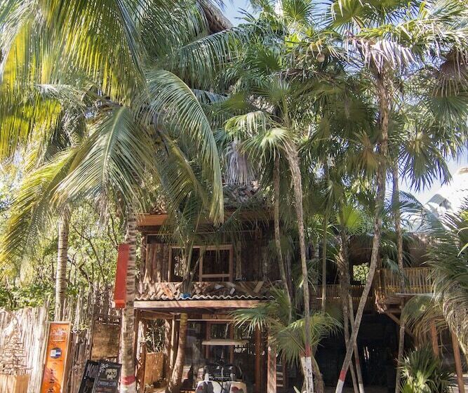 Bambu Gran Palas Hostel Party