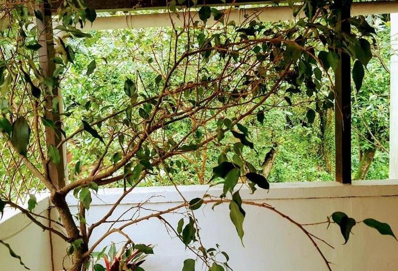 تختخواب و صبحانه Casa Beludi