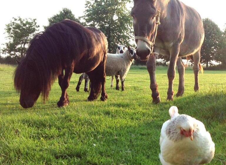 ベッドアンドブレックファースト La Roseraie