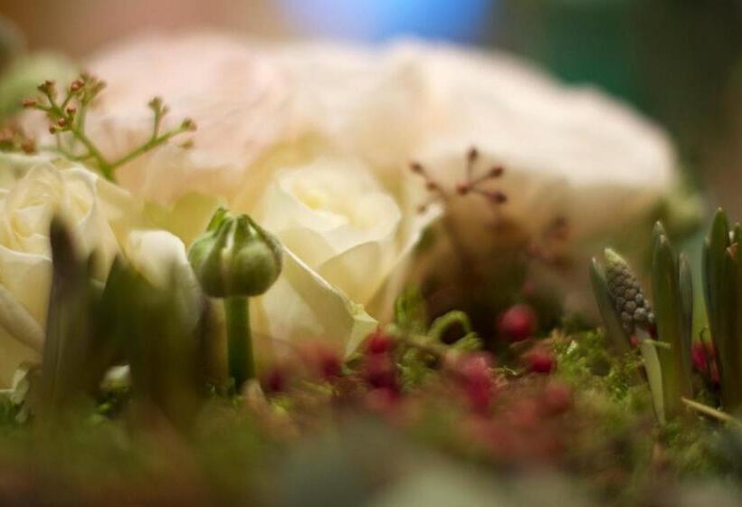 ベッドアンドブレックファースト La Roseraie