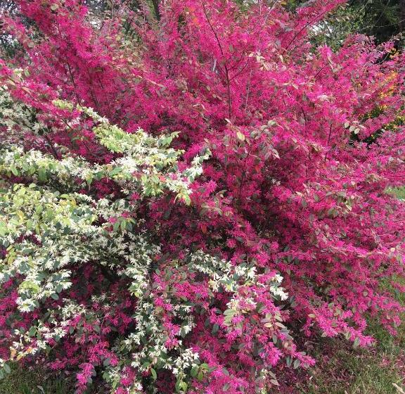 פונדק Agriturismo Da Ninoti