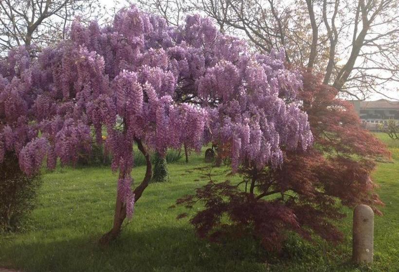 פונדק Agriturismo Da Ninoti