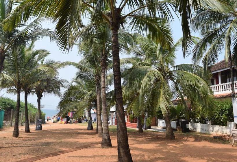 Хостел Bribon Guest House