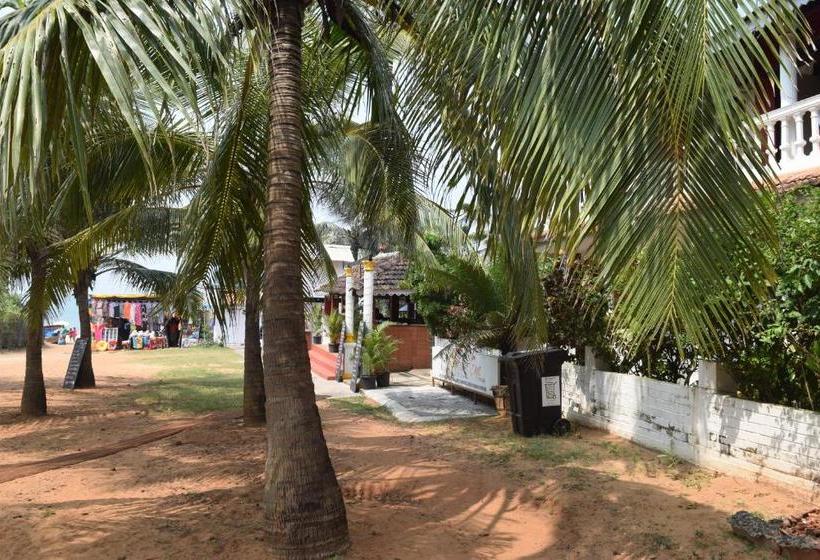 Хостел Bribon Guest House