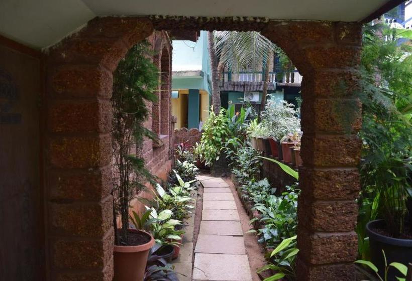 Хостел Bribon Guest House