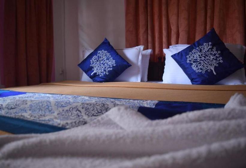 Хостел Bribon Guest House