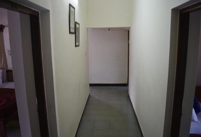 Хостел Bribon Guest House