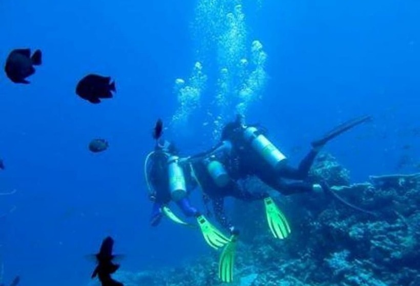 مسافرخانه Plus View Maldives