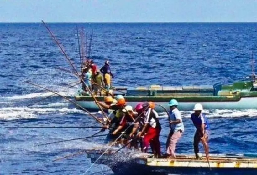 مسافرخانه Plus View Maldives