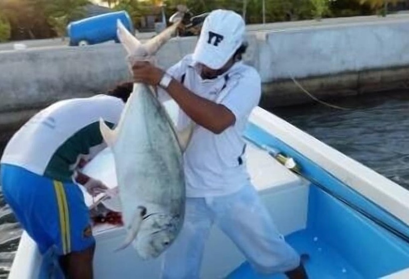 مسافرخانه Plus View Maldives