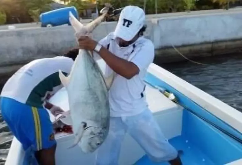 مسافرخانه Plus View Maldives