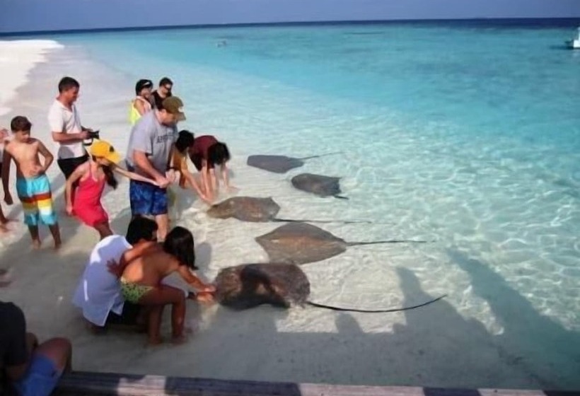 مسافرخانه Plus View Maldives