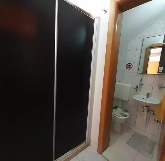 مسافرخانه Pansion Ponte