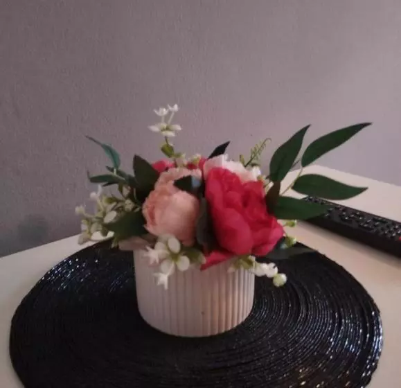 مسافرخانه Pansion Ponte