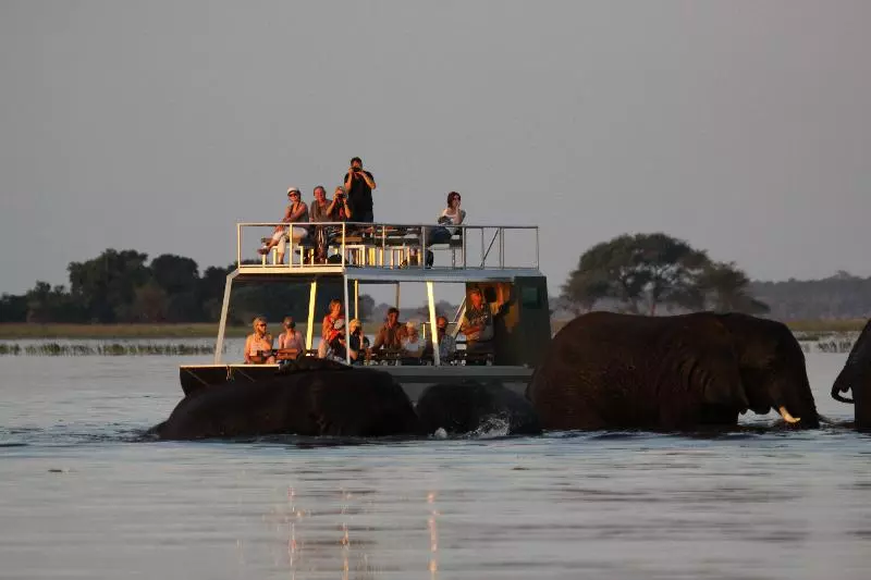 هتل Chobe River Camp