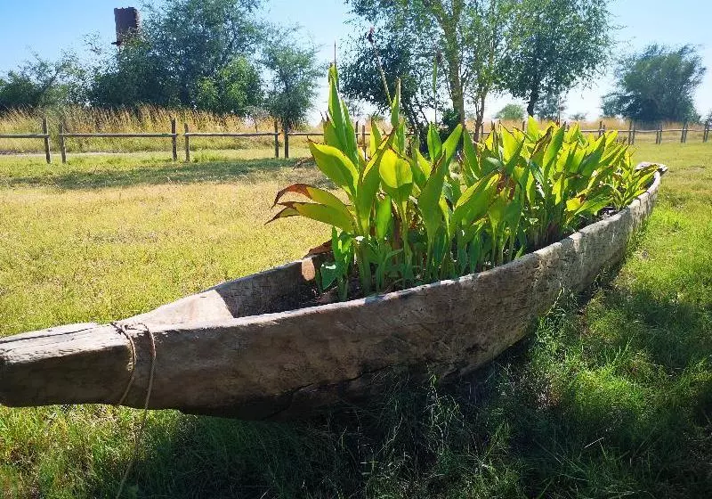 هتل Chobe River Camp