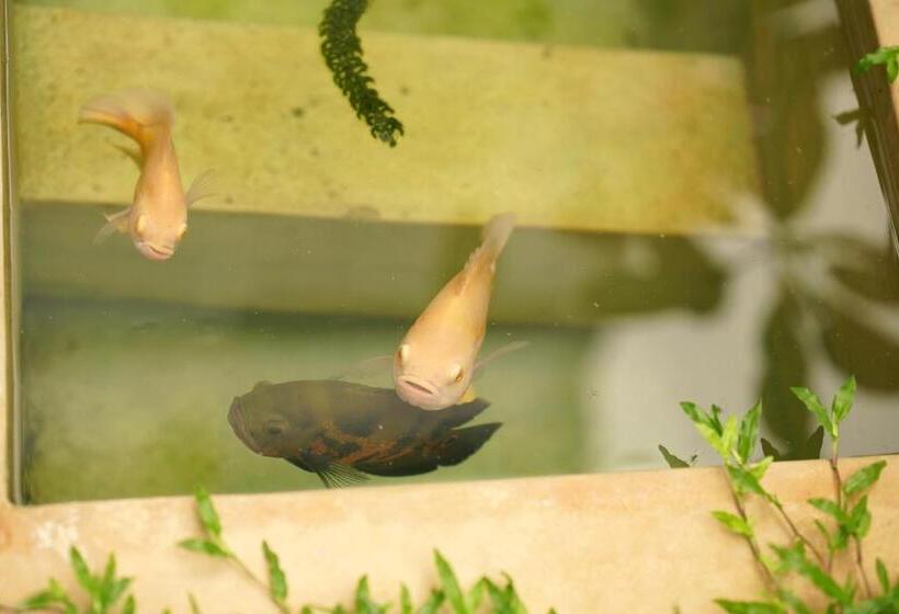 Курорт Temple Tree