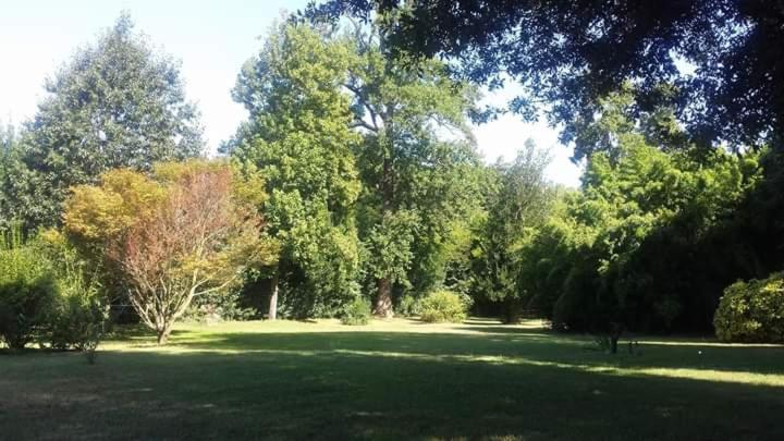 פונדק Villa La Dogana