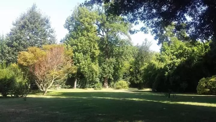 簡易ホテル Villa La Dogana