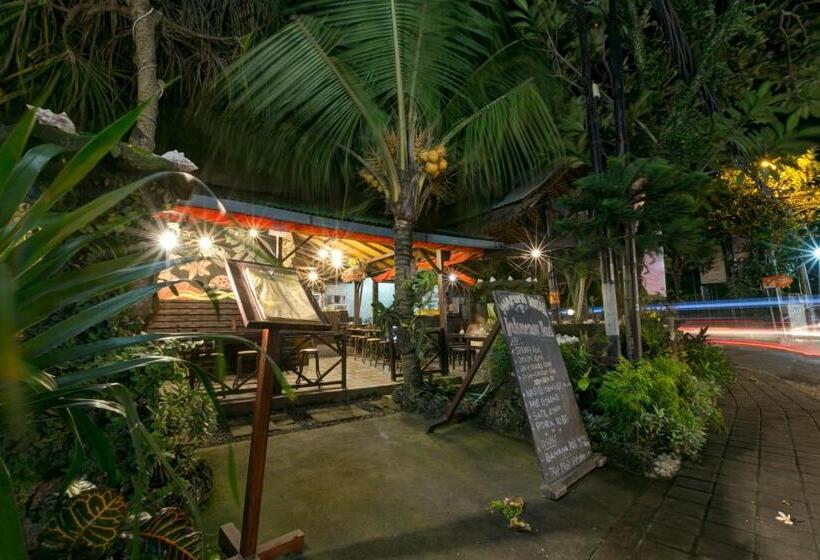 Hotel Melody Guest House