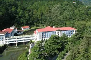 Отель Balneario De Cestona