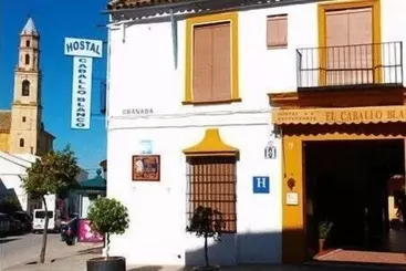 Hotel Hostal El Caballo Blanco