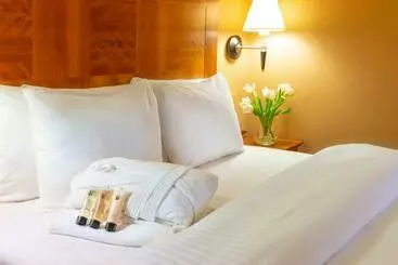 Copthorne Hotel Birmingham