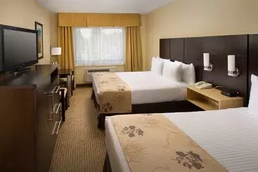 酒店 Best Western Seattle Airport