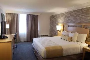 酒店 Best Western Skyline Motor Lodge