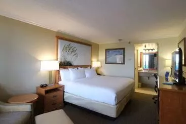 Hotel Spark By Hilton Sarasota Siesta Key Gateway