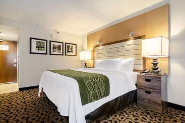 Szálloda Comfort Inn Raleigh Midtown