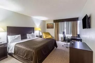ホテル Clarion Inn Near Mcallen Airport