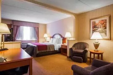 Otel Comfort Inn & Suites