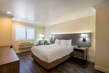 汽车旅馆 Comfort Inn Gilroy