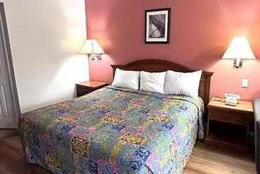 Отель Willow Tree Lodge