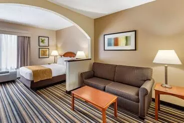 בית מלון כפרי Comfort Suites Chesapeake  Norfolk