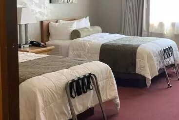 فندق White Buffalo