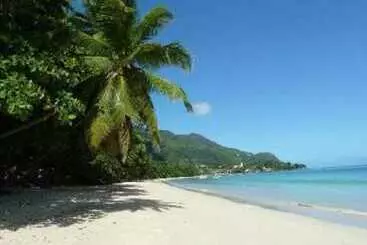 Romance Bungalows