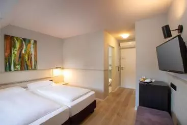 هتل Schloss Reinach