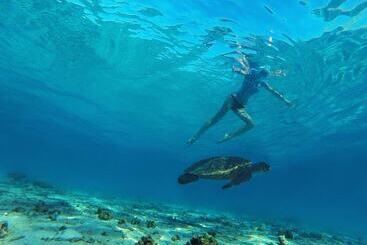 مسافرخانه Coco Villa