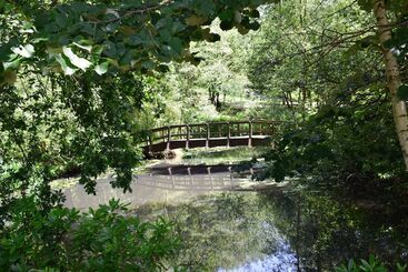 فندق Accommodation At Salomons Estate