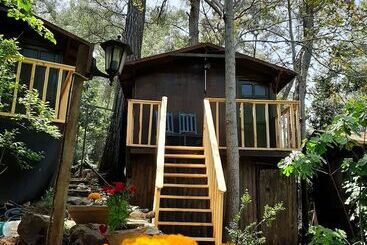 Hotel Altaris Bungalows Olympos