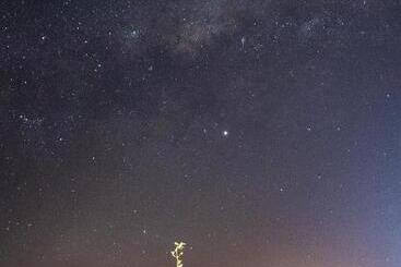 Szálloda Park Inn By Radisson Los Olivos De Vallenar